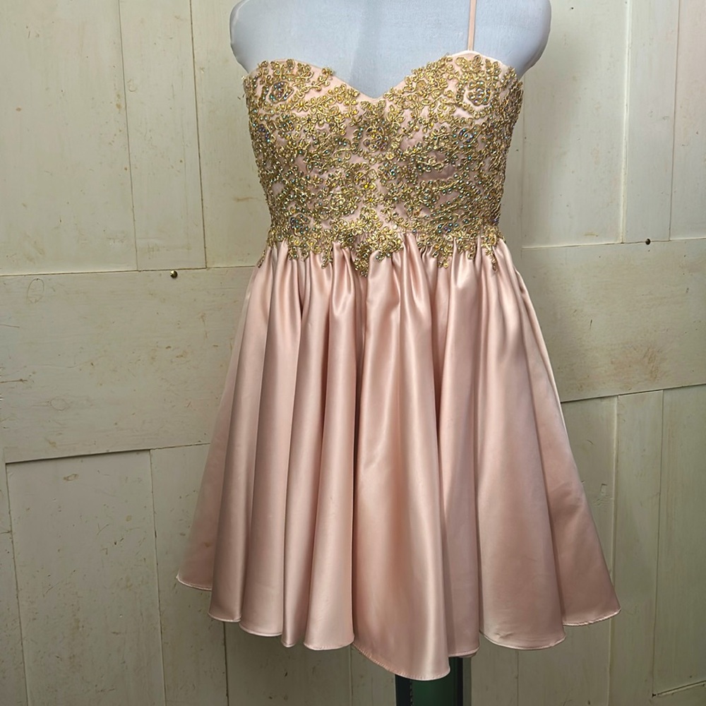 Fab Damas by Tiffany Prom Dress EUC Fit-N-Flare Quinceanera Party Wedding Grad